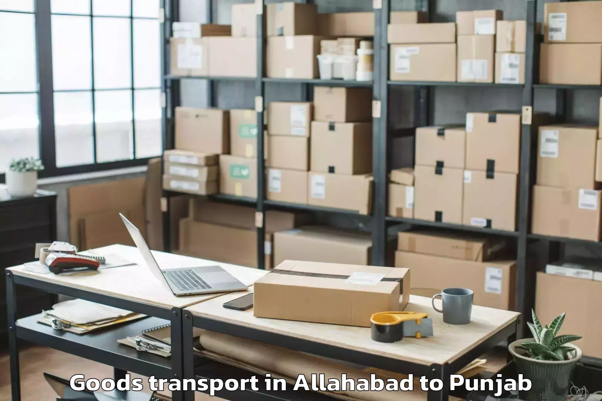 Affordable Allahabad to Zira Goods Transport